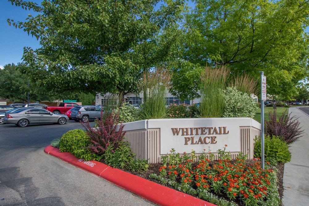 Whitetail Place: 1399-1471 S. Eagle Flight Way, Boise, ID 83709